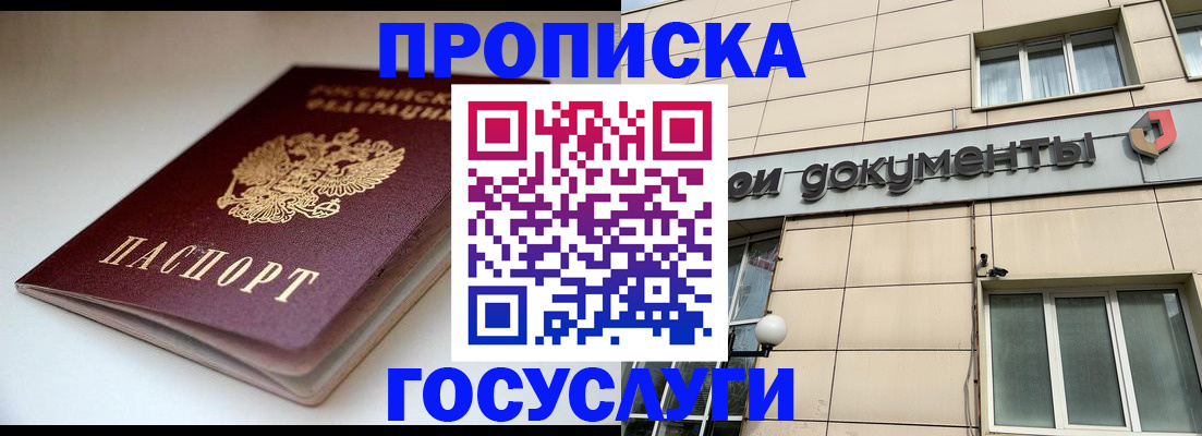 временная регистрация госуслуги в Павловске